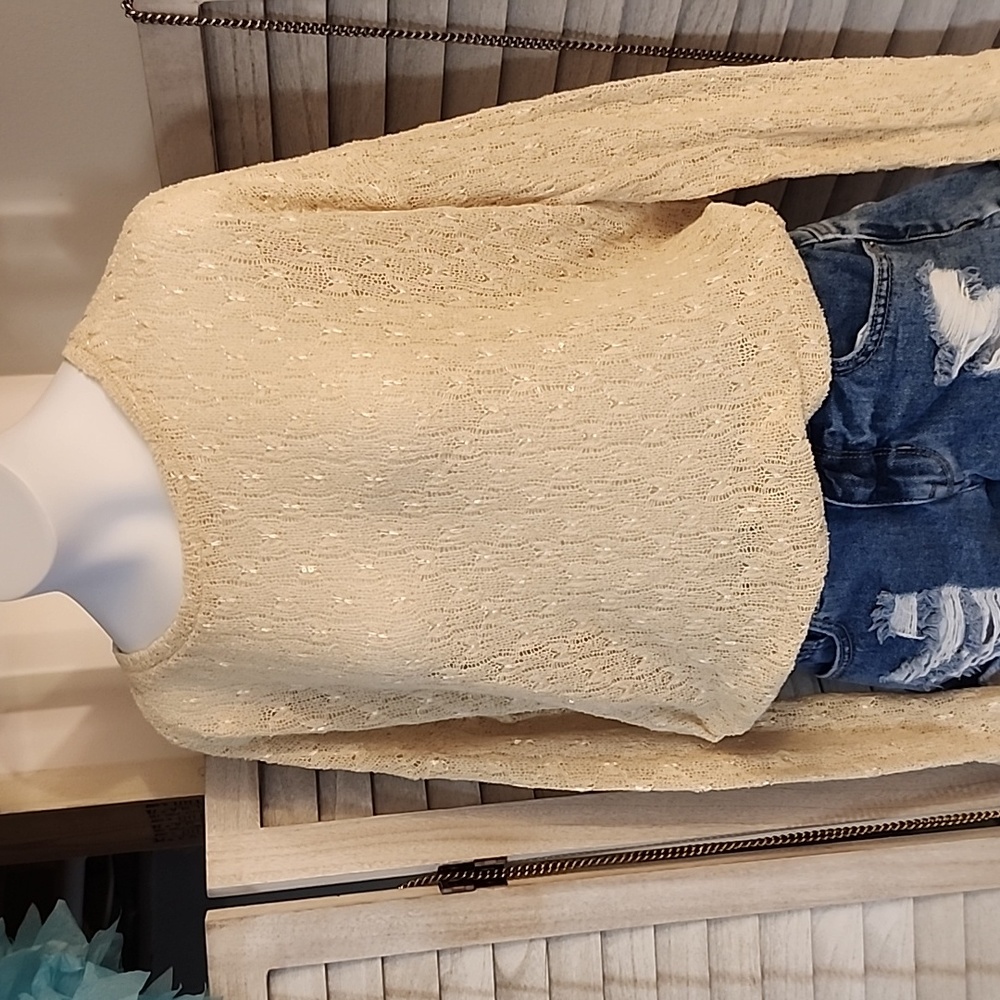 Forever 21 brand cropped sweater